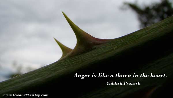 quotes on anger. Anger Quotes - Angry Quotes